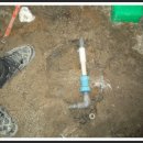 남일상회 이미지