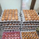 신서울닭집