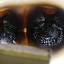 스피드메이트 달구벌점 이미지