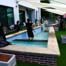 멍스타애견 이미지