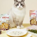 밀크독 - 하남시 미사강변중앙로 181 | 밀크독