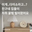 비안트 | 친구 집들이 자취 인테리어 꿀템 소개 | 다이소 3천원 시계 마켓비 일광전구 집에가야돼 1만원 조명까지