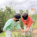 자연과예술유치원 이미지