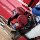 평촌 권투체육관 이미지