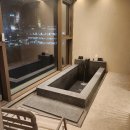 소노펠리체 델피노 이미지