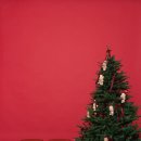 길주로411번길 이미지