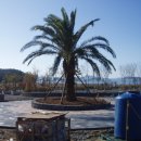 화원관광 이미지