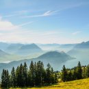 2000년대공인중개사사무소 이미지