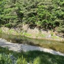 용오름캠핑장 이미지