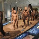 한탄강 유원지2 이미지