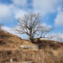 대곡 갈전 이미지