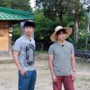 삼시세끼 이미지
