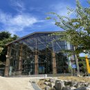 루몽드917 이미지