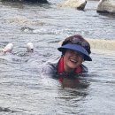 직실농원 이미지