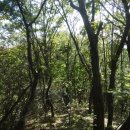 봉산마을회관 이미지