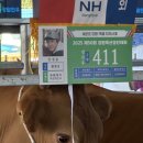 강원축산 이미지