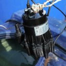 홍이농장 이미지