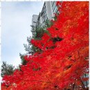 주민행정사사무소 이미지