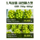 산지직송 샤인머스켓 평점 4.9점! 500원 동전크기의 18브릭스 이상 당도 보장 최상품 이미지