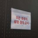 양일로 | 2025 Redoor 단독콘서트 <FEATHERS> 양일 후기