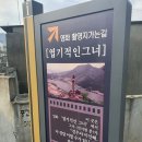 급 기차여행 이미지