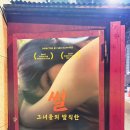 [내돈내산] 대학로 피카소소극장 <그녀들의 발칙한 썰> 후기 – 솔직하고 대담한 19금 성인연극의 매력!