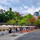 구세군사랑듬book작은도서관 | 서울 10월 가을축제 갈만한곳 시월정동 후기 / 덕수궁 돌담길 낭만걷기