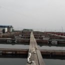 신이수산 이미지