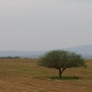 이야기가는풍경 이미지