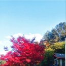 광장84호 이미지