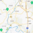 세종코아이비인후과의원 이미지