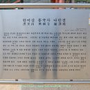 한미산 흥국사 나한전 이미지