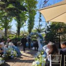 그린출장뷔페 이미지