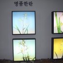제주한란전시관 이미지