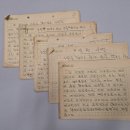 뿌리깊은나무 이미지