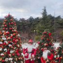 아지아지트 이미지