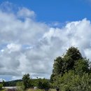 [학습반디_오정동]지역주민이 참여하는 지속가능한 마을공동체 참여방안 | 생태공동체의 꿈과 현실