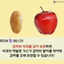 싱싱채소과일