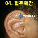 신호상사 네이버블로그
