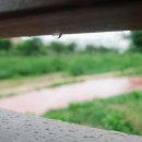 만우한식부페 이미지