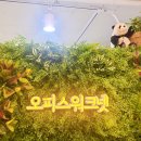 진오피스 이미지