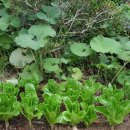 고감도어린이집 이미지