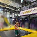 (주)동성원더파크 | 과천 아기랑 실내 가볼만한곳: 원더파크 그라운드플래닛 솔직 비교 최신후기