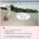 AVC 동물메디컬센터 이미지