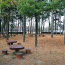 안산 와동공원 이미지