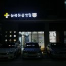 늘봄동물병원