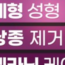 더새로이