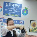 탈모야안녕 이미지