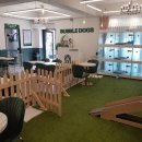 버블독스 영암삼호점 이미지