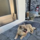 옛집 | 경주 펜션 &#39;옛집&#39; 후기! 고전미와 현대미가 만난 특별한 감성 숙소 추천